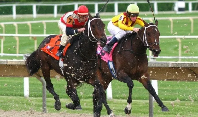 Tìm Hiểu Cá Cược Đua Ngựa TK88 Và Khám Phá Bí Quyết Chọn Kèo Hiệu Quả Nhất 2025 1 Đua Ngựa TK88